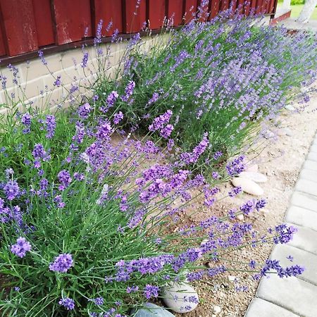 9 Min From Palanga! Luxury House On The River And Sauna Kretinga Extérieur photo